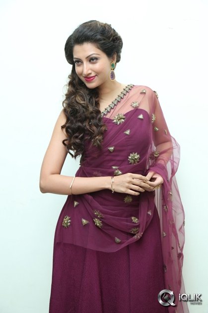 Hamsa-Nandini-at-Bengal-Tiger-Movie-Audio-Launch